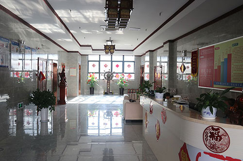 養(yǎng)老服務(wù)在鄉(xiāng)村振興中的實踐與挑戰(zhàn)